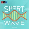 NPR Short Wave